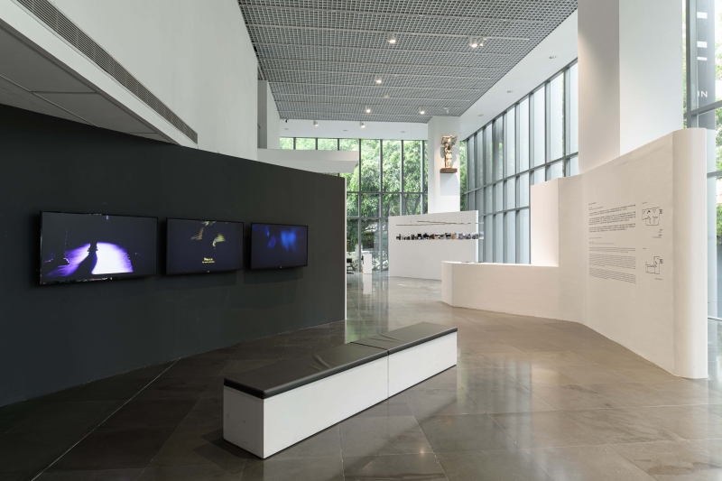 王韓芳策劃《即溶生活–未來記憶的想像》於台北北師美術館展覽現場，暗流體作品《賤骨頭》展出